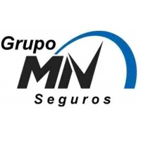 Grupo MN Seguros logo - Similar company to Renata Cox - Desenvolvimento Profissional