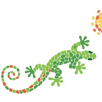Gecko Tours Split