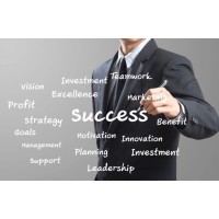 Titan Strategic Group logo - Similar company to Atlas Capital Solutions