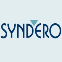 Syndero logo - Similar company to Syndero