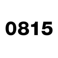 0815 architekten logo - Similar company to Fms-Technik Ag