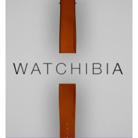 Watchibia AG logo - Similar company to Lightseeds