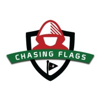 ChasingFlags logo - Similar company to Bv Labs