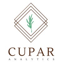Cupar Analytics Ltd logo - Similar company to Master Of Coin Consulting