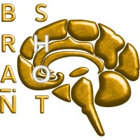 Brain-Shot Academy Inc logo - Similar company to Brain-Shot Academy (Dach)