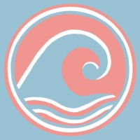 Transilience logo - Similar company to Sunrise Diversity