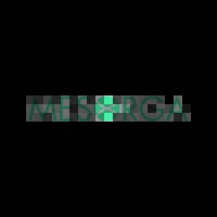Mesorga logo - Similar company to Dermqodelab