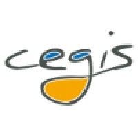 Cegis Formation logo - Similar company to Cegis
