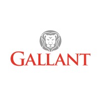 Gallant Corporate Services LLC logo - Similar company to Pregmune