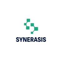 Synerasis logo - Similar company to Gk Tech
