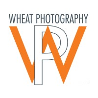 Wheat Photography