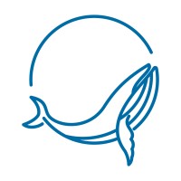 Dream Whale Communication logo - Similar company to Frezh Concept