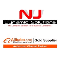 NJ Dynamic Solutions logo - Similar company to Web Excels