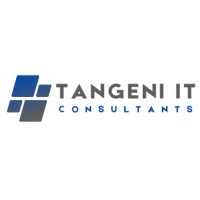 Tangeni IT Consultants logo - Similar company to Visia Software
