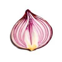 Onion Search Engine logo - Similar company to Indi Browser