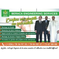 Beraca Engineering Services - BEGIS logo - Similar company to Capstone Construction-Bf