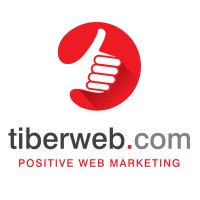 Tiberweb.com logo - Similar company to Top Solution Italy