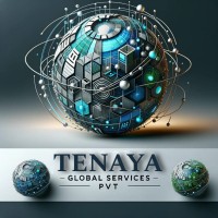 Tenaya Global Services logo - Similar company to Silver Stone Webtech Private Limited