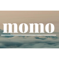 momo financial logo - Similar company to Imali