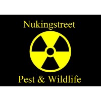Nukingstreet Pest & Wildlife Control LLC logo - Similar company to Active Intelligence Drone Services