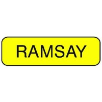 RAMSAY SOIL INJECTION LIMITED logo - Similar company to Branston Engineering Limited
