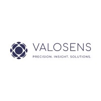 Valosens logo - Similar company to Onesmartbee