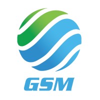 Great Southern Maritime Services Corporation logo - Similar company to Megaforce Security Group