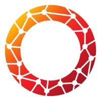 Osini Group logo - Similar company to Brookside Services Consultancy