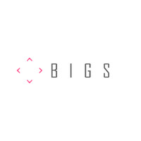 BIGS2009 - логісти на аутсорсі logo - Similar company to Translogicom