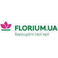 Florium logo - Similar company to I.P.Cert