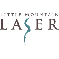 LITTLE MOUNTAIN LASER LLC