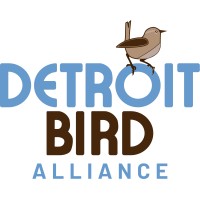 Detroit Bird Alliance logo - Similar company to Bees In The D