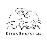 Essex Energy LLC logo - Similar company to Fe Clean Energy Group