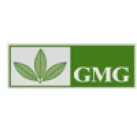 GMG Global Ltd logo - Similar company to Easymanagement