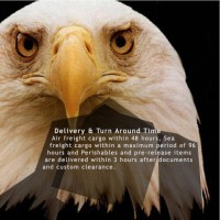 EAGLE EYES SHIPPING LTD logo - Similar company to Meethaq Solutions