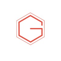 Graphionic Infotech logo - Similar company to Techvizor