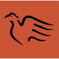 Pizzini Wines logo - Similar company to Pembleton