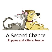 A SECOND CHANCE PUPPIES AND KITTENS RESCUE INC logo - Similar company to Kucing Lucu