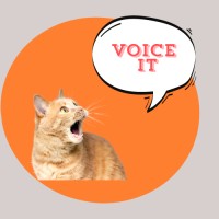 voice it