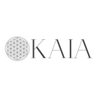 Kaia Ventures Pvt Ltd logo - Similar company to Optizent