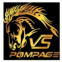 VS POMPAGE logo - Similar company to Rematec