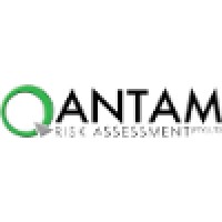 Qantam Risk Assessment logo - Similar company to Holovo