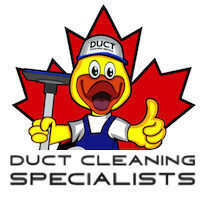 The Duct Cleaning Specialists logo - Similar company to Duct Cleaning Dayton