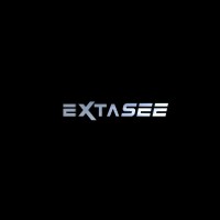 EXTASEE logo - Similar company to Bizz Solutions