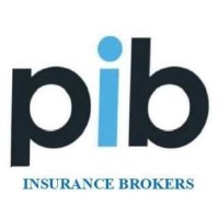PIB Insurance Brokers Private Limited logo - Similar company to Pib Group
