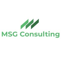 Msg Consulting - Case Team