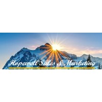 Hopewell Sales and Marketing LLC logo - Similar company to Electronics1.Com