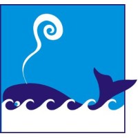 Mship logo - Similar company to Top One Power Limited