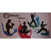 Ninja Fitness LLP logo - Similar company to Movement Inc