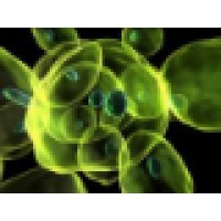MicroCat & EOS Bioaugmentation Products logo - Similar company to Vortex Leak Detection Ltd